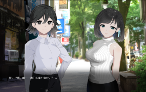 [SLG机翻有动画]ROOM 偷窥女孩私生活的偷拍洗脑SLG[电脑2G/FM/BD]