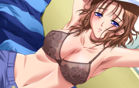 【ADV拔作/汉化】相姦遊戯 1 重制版 汉化硬盘版+存档+攻略 【695M/秒传】