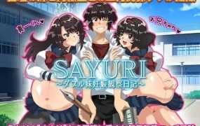 【RPG/汉化/双端】双胞胎姐妹怀孕观察日记 [度盘/秒传]【745M】