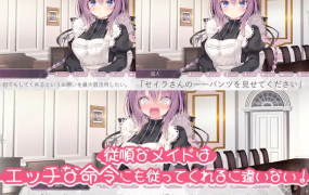 [ADV汉化纯爱]主人，请让塞拉为您献上如梦幻般甜蜜恩爱的侍奉吧 ご主人様、[电脑1.71G/FM/BD]