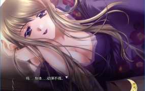 [神作ADV/汉化/CV/RBQ] 无颜之月 RENEWAL精翻完全汉化版+存档+全动画步兵版 [百度/3G]