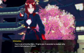 [日系SLG汉化动态]舰长 船长 CaptainVRse v0.9 [双端3.4G/FM/BD]