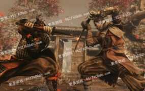 [ACT/中文] 只狼：影逝二度V1.06 官方中文年度版 [15G/转度盘]