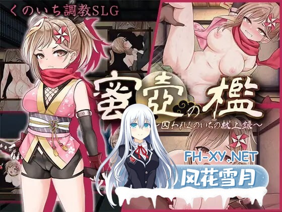 [SLG/中文]蜜穴牢笼~被囚女忍者的献身录 挂载AI汉化版+存档[夸克/1.5G/UC]